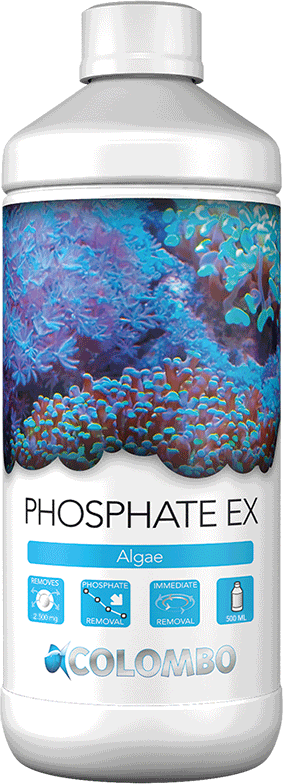 Colombo Phosphate Ex