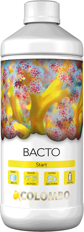 Colombo Bacto