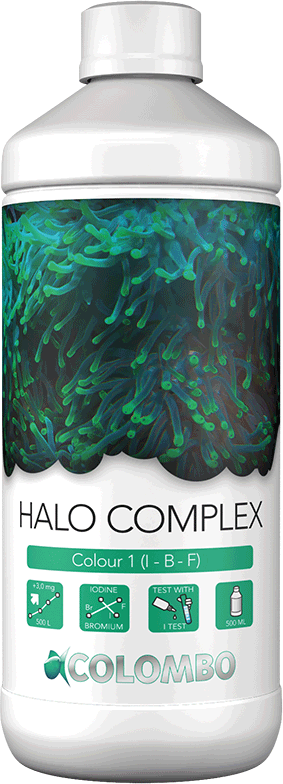 Marine Colour 1 Halo Complex (I-F)