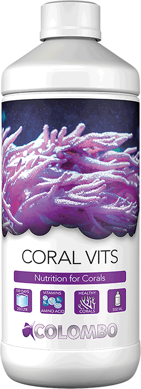 Colombo Coral Vits