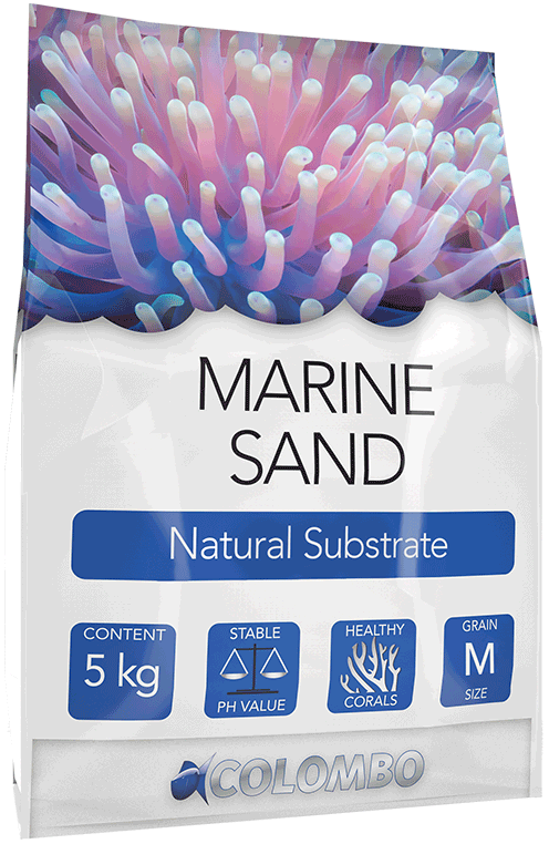 Marine Sand