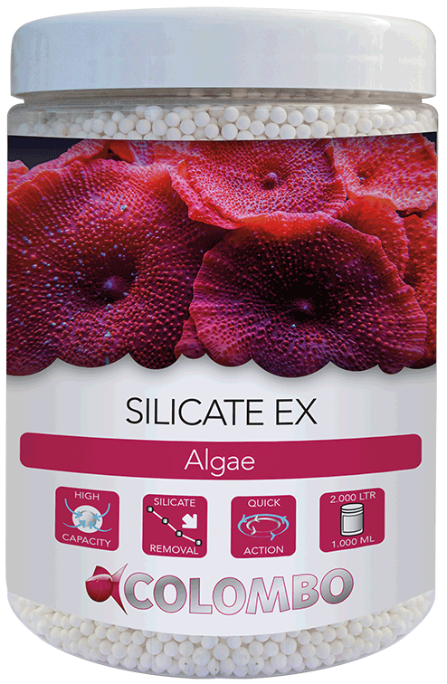 Colombo Silicate Ex