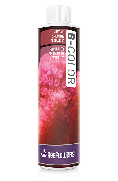 B-Color
