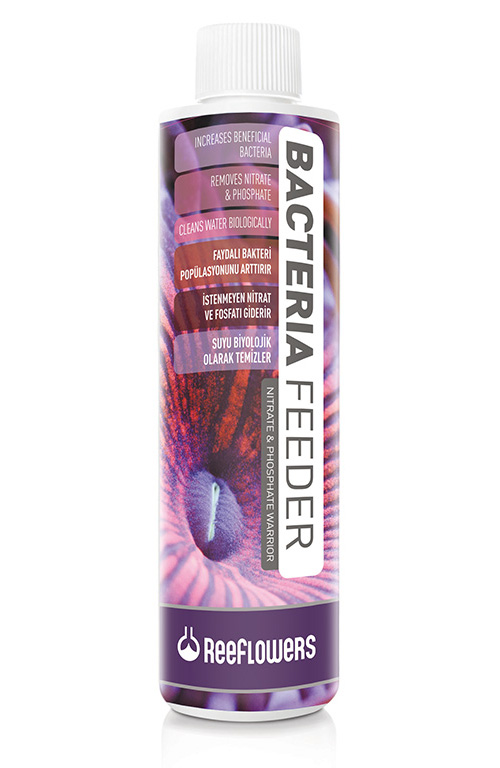 Bacteria Feeder