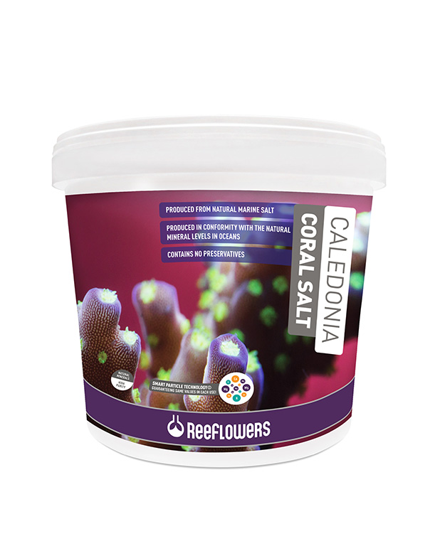 Caledonia Coral Salt