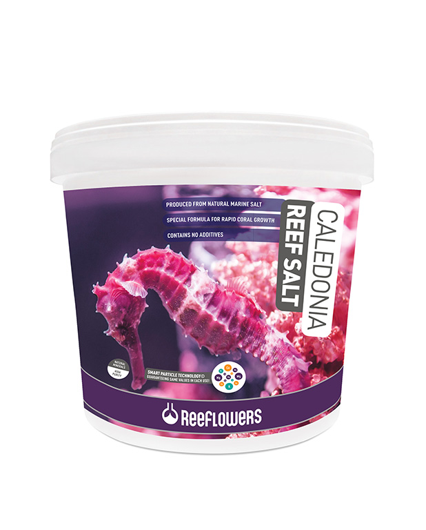 Caledonia Reef Salt