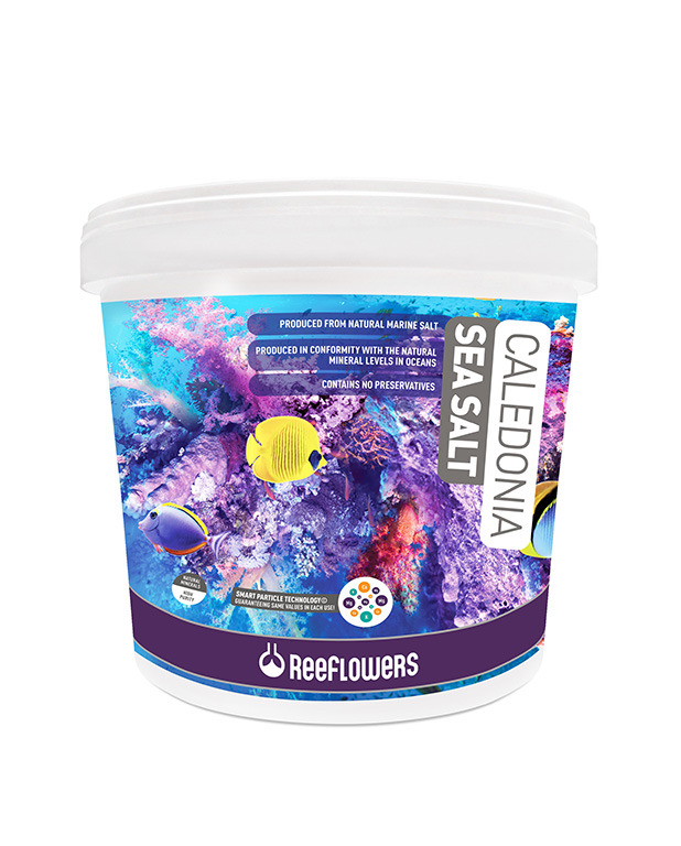 Caledonia Sea Salt