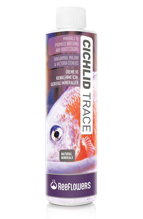 Cichlid Trace