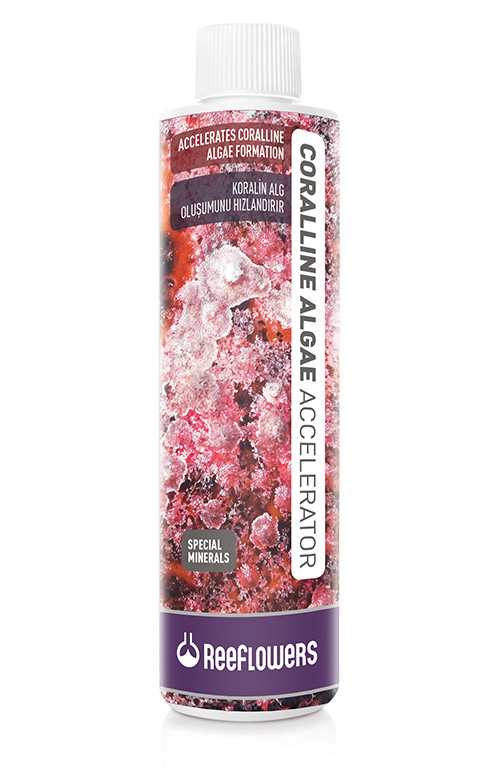 Coralline Algae Accelerator
