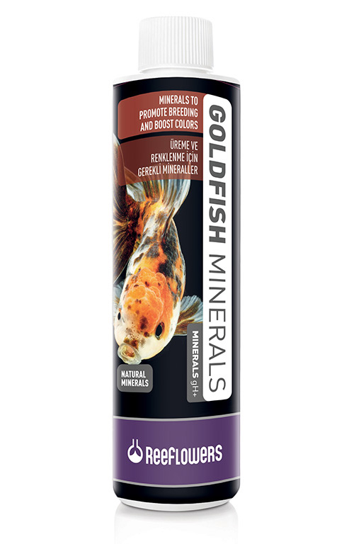 GoldFish Minerals