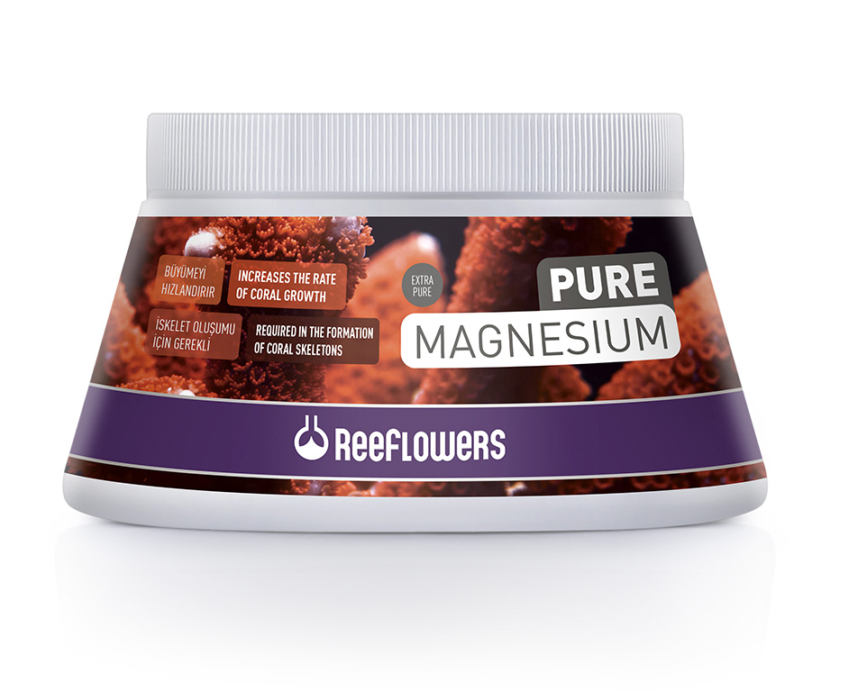 Pure Magnesium - C