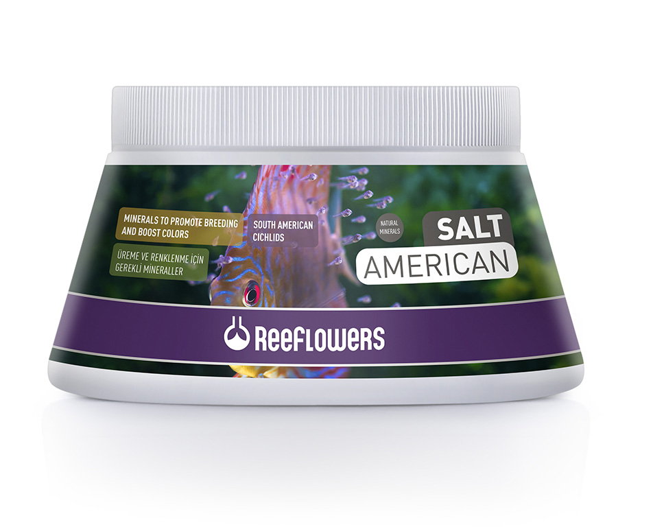 SaltAmerican