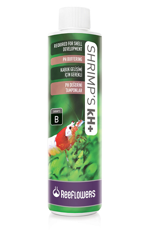 Shrimp's kH+ (B)