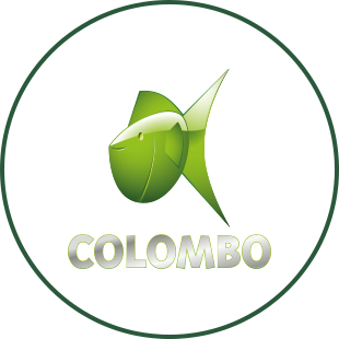 Colombo
