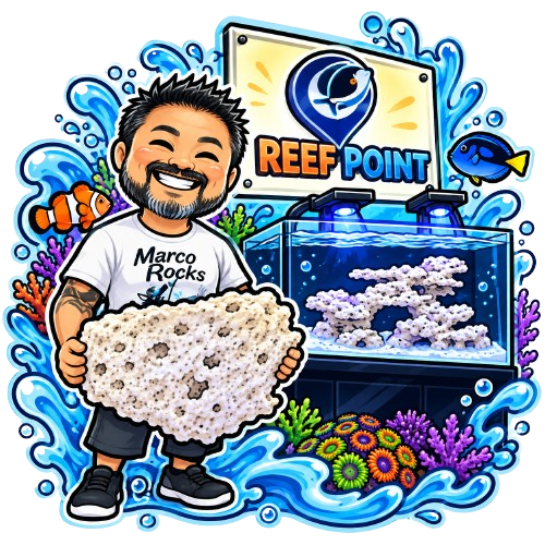 Ilustração de André Takahashi com uma rocha Marco Rocks junto a um aquário Reef Point